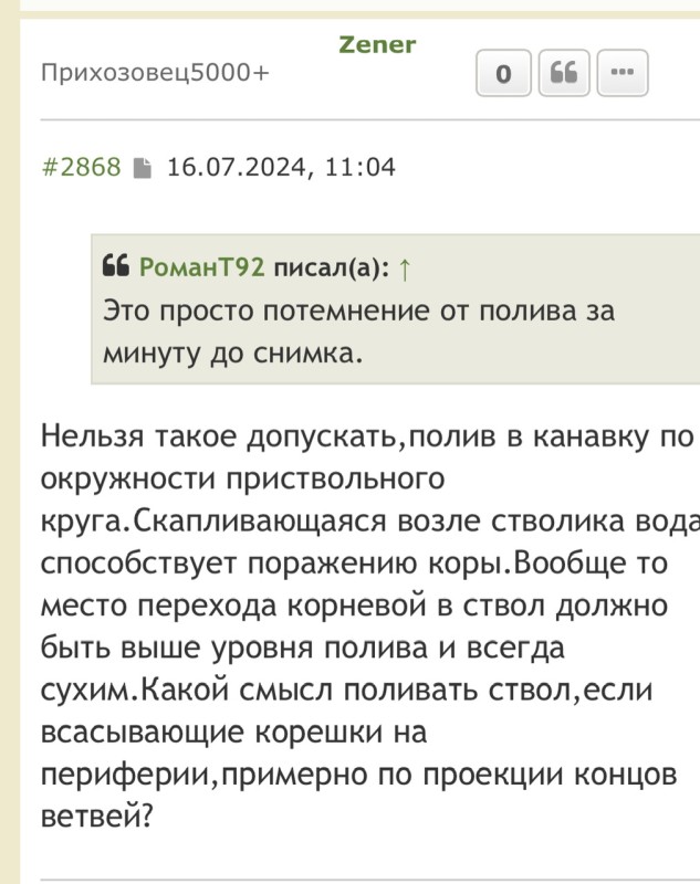 IMG_8244.jpeg