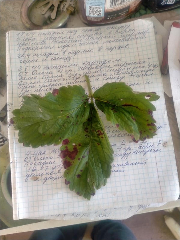 IMG20240720104016.jpg
