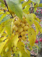 IMG_5766.jpg