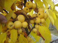 IMG_5764.jpg