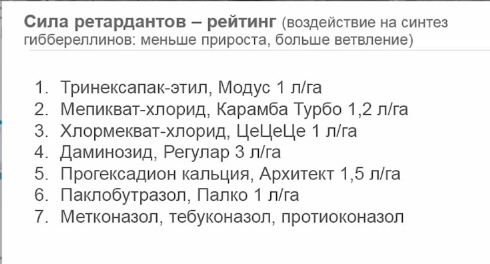Рапс — как исправить 10 ошибок в питании и защите День Сибирского поля 2024 Сергий Ризанов.png