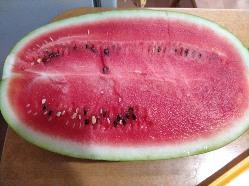 IMG20240805193441.jpg