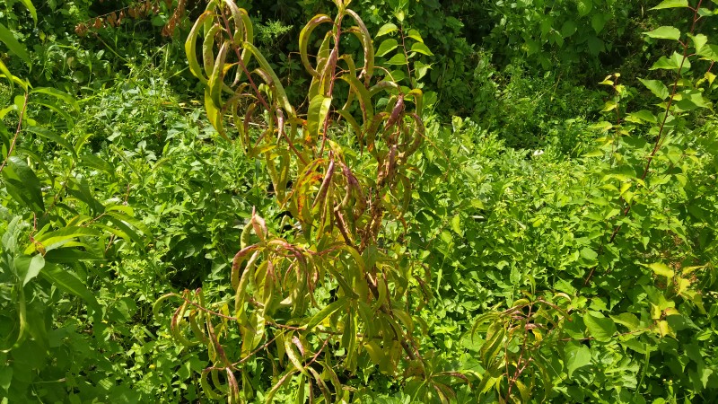 IMG20240805122905.jpg