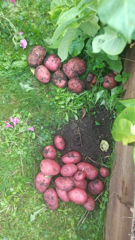 IMG-20240806-WA0006.jpeg