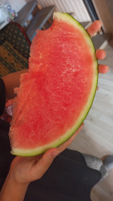 IMG-20240805-WA0097.jpeg