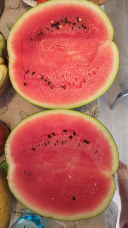 IMG-20240805-WA0087.jpeg