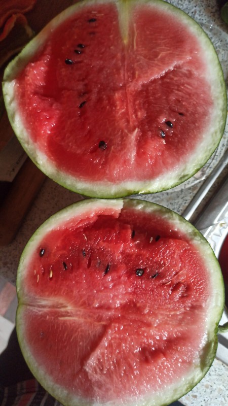 IMG-20240801-WA0030.jpeg