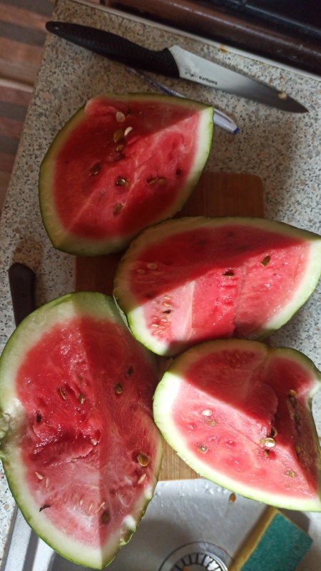 IMG-20240731-WA0025.jpeg