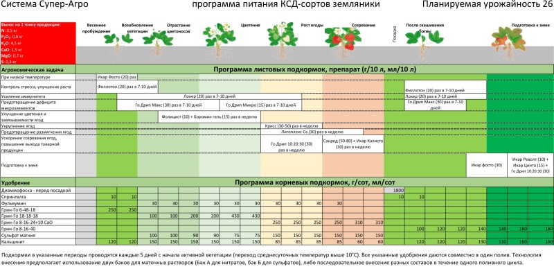 питание земляники.jpg