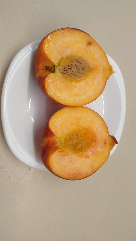 IMG20240812215504.jpg