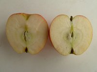 P1050444_new.jpg