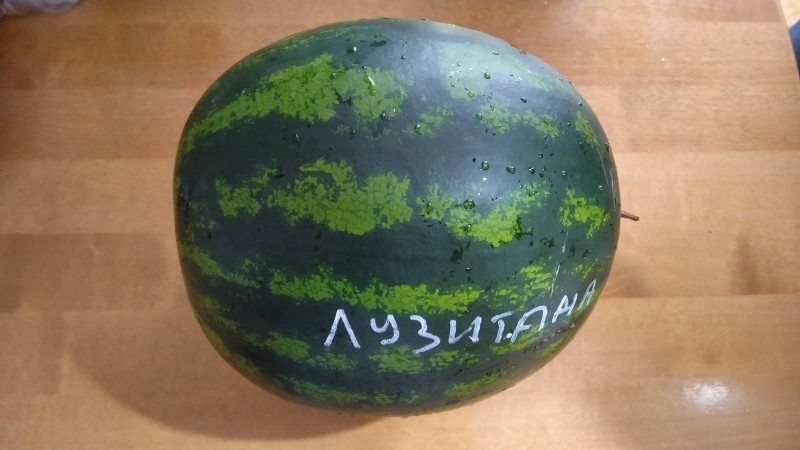IMG20240826134847.jpg