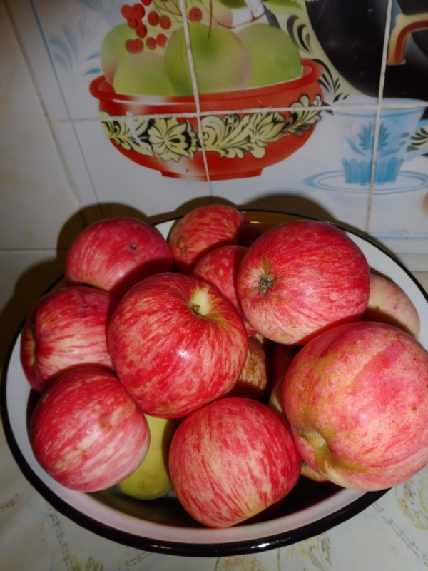 P1030007.JPG