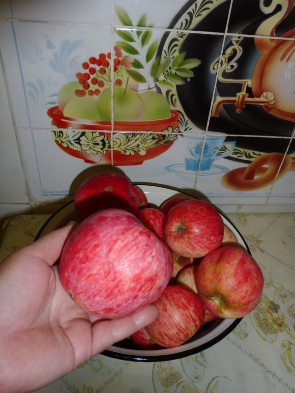 P1030011.JPG