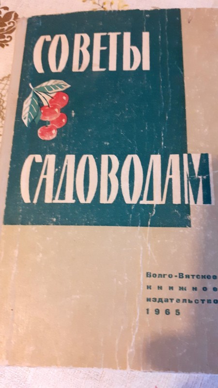 20240902_082454.jpg