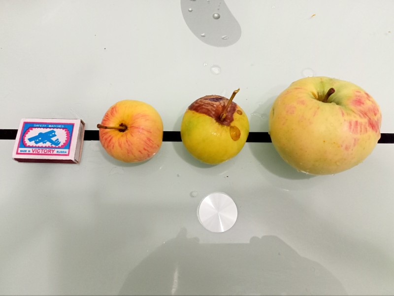 IMG20240903192229.jpg
