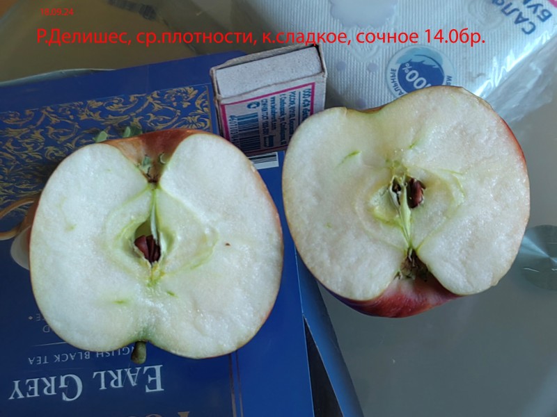 IMG_20240916_181302.jpg