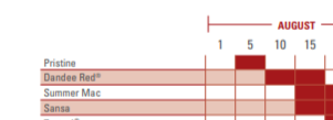 Apple-Maturity-Guide-2.png