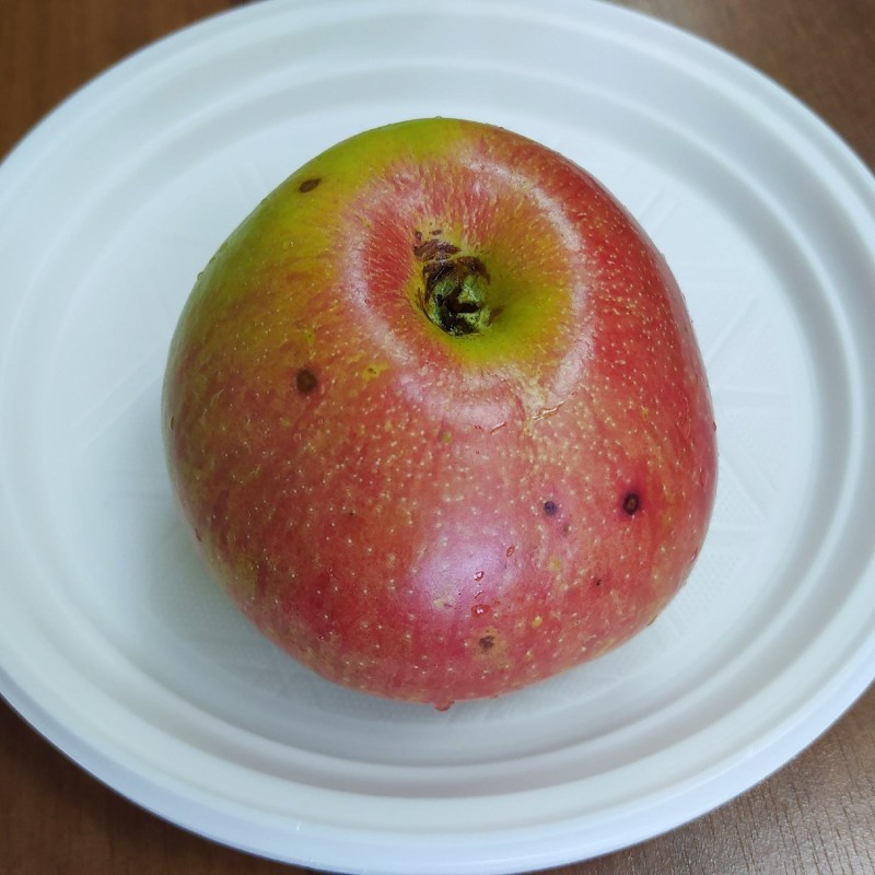 IMG_20240923_150056_resize_16.jpg