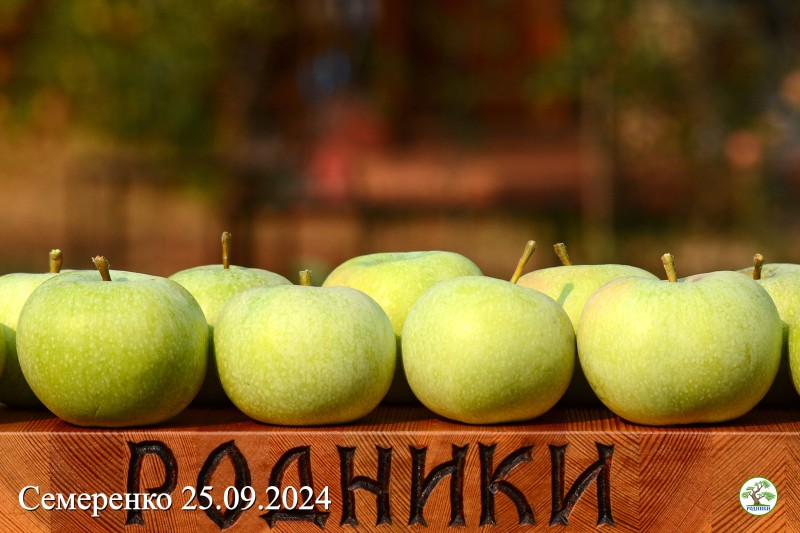 Плоды ровные 140-160г