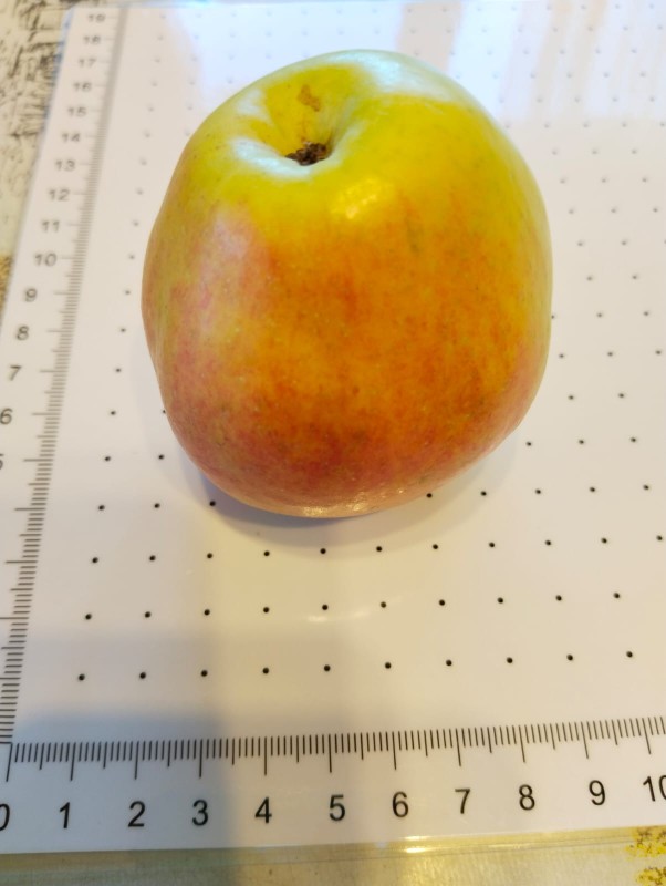 4.jpg