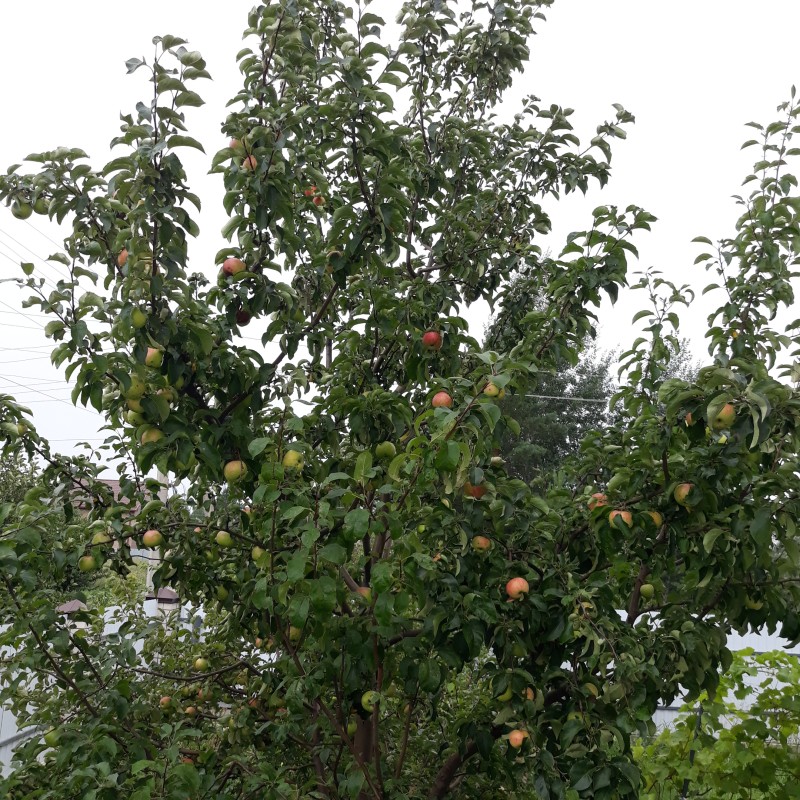 20220813_170751.jpg
