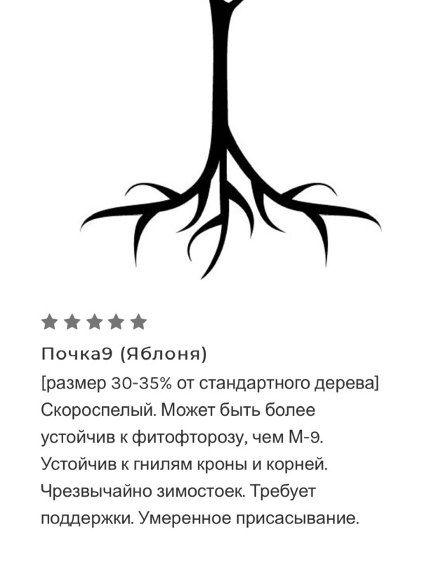 IMG_8886.jpeg