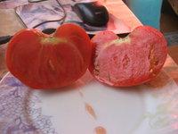 IMG_2631.JPG