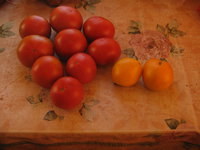 IMG_2684.JPG