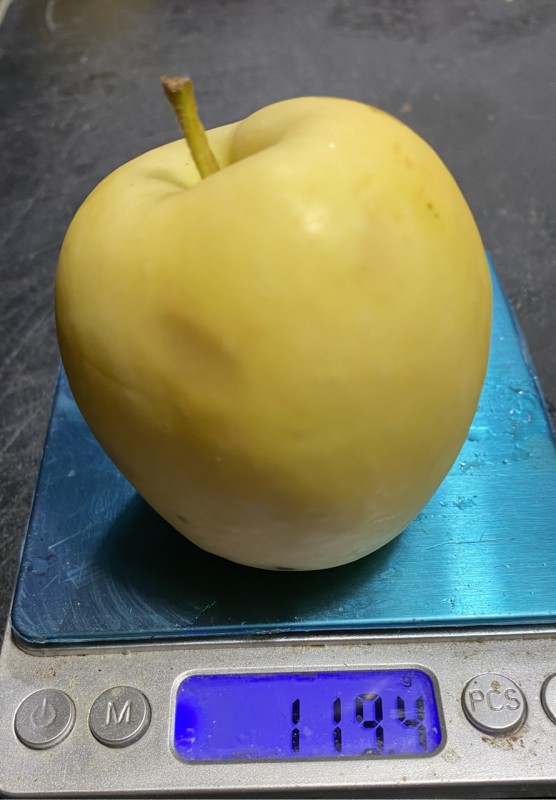 IMG_8924.jpeg