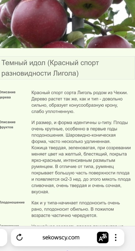 IMG_8954.jpeg