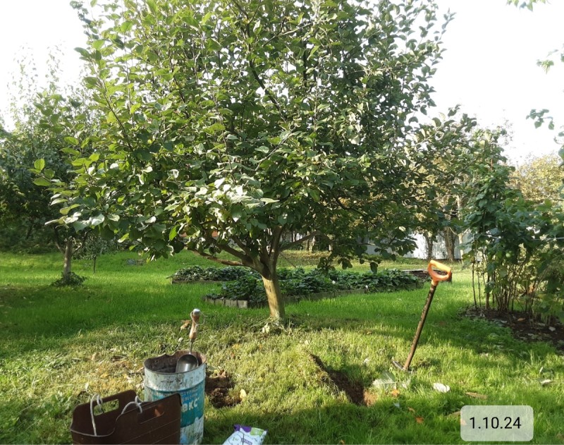 Screenshot_20241017-192525_Gallery.jpg
