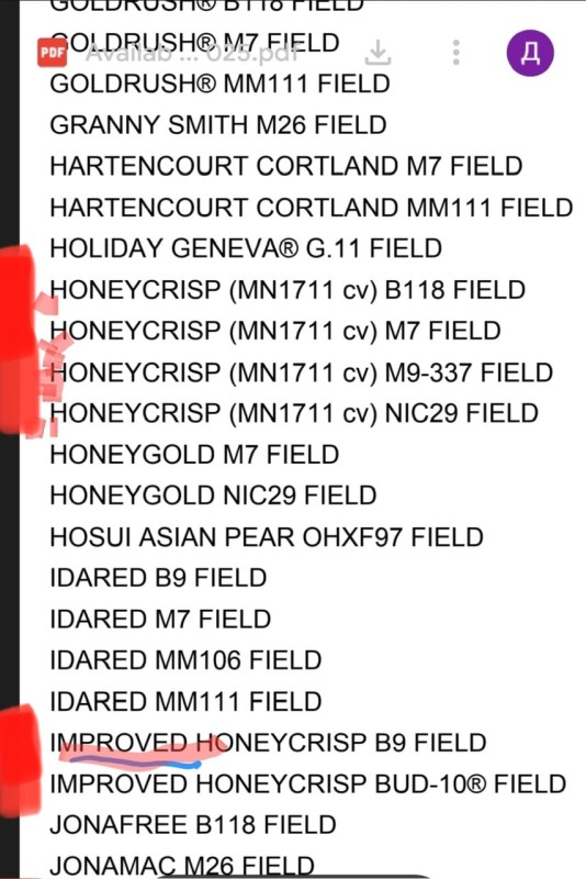 c0bc6568-2317-4141-a616-638cf25d1ee1.jpeg
