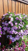 20140815_122018R.JPG