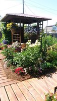 20140815_122341R.JPG