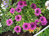 DSC01357.JPG