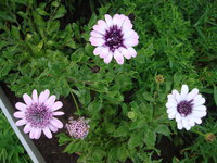 DSC01360.JPG