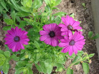 DSC01265.JPG