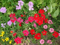 DSC01260.JPG
