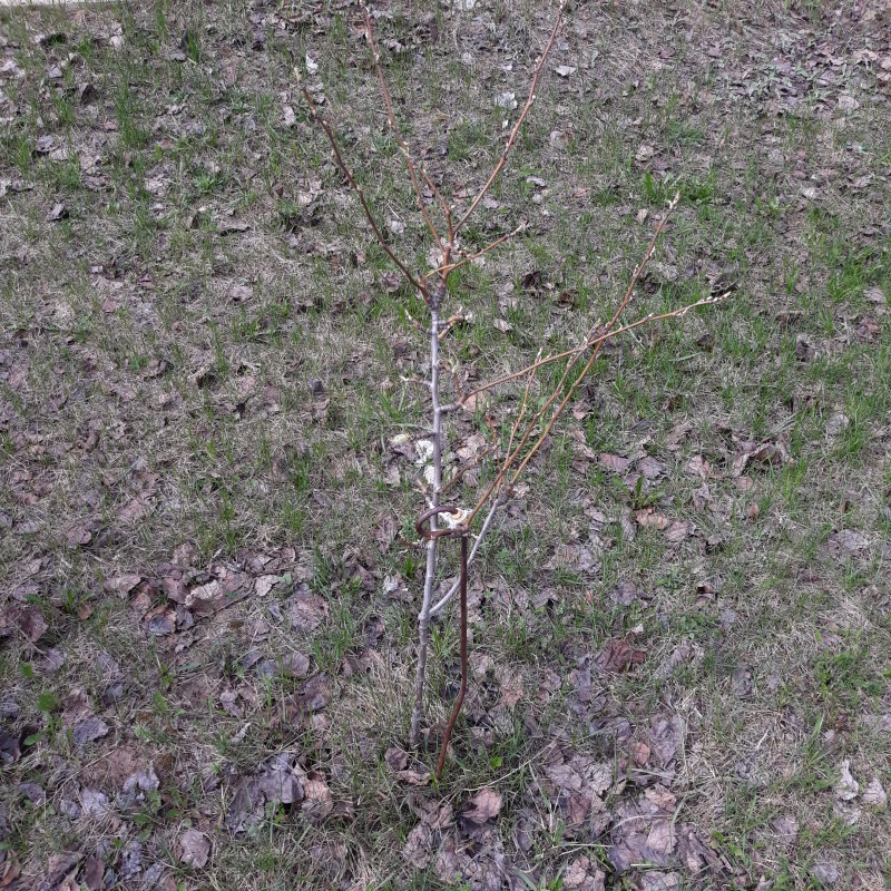 20220416_115359.jpg