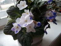 100_2395s.jpg