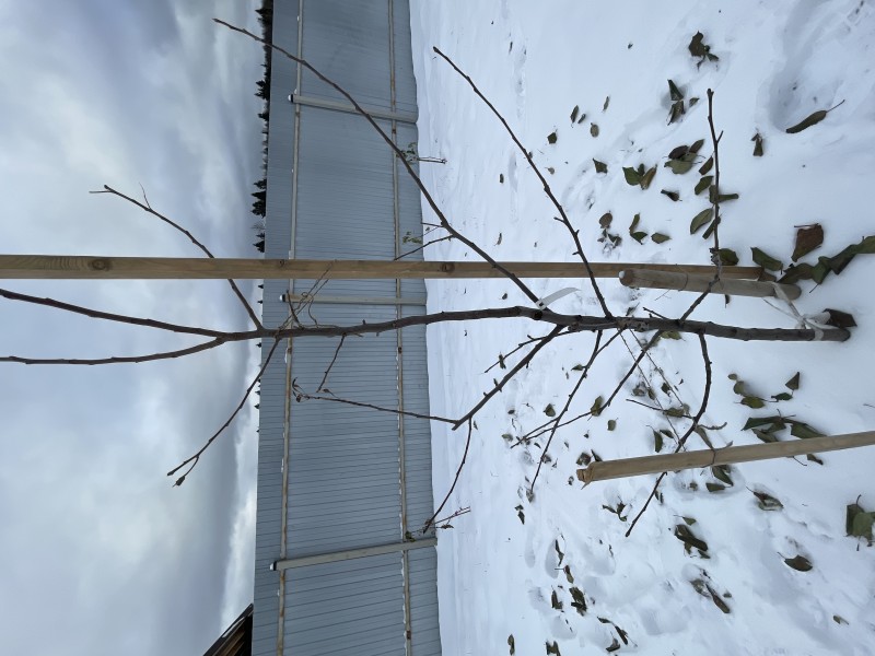 05EC19D0-C710-4C34-A00A-6461320EC8B1.jpeg