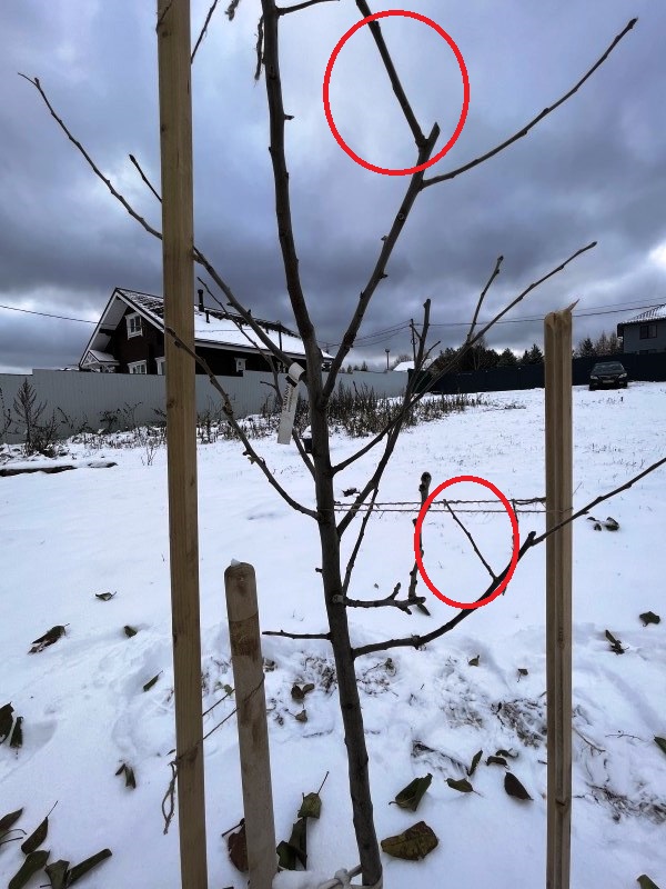 Обрезка 2.jpeg