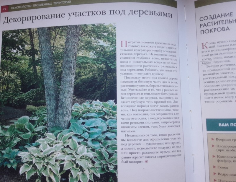 Screenshot_20241110-121420_Gallery.jpg