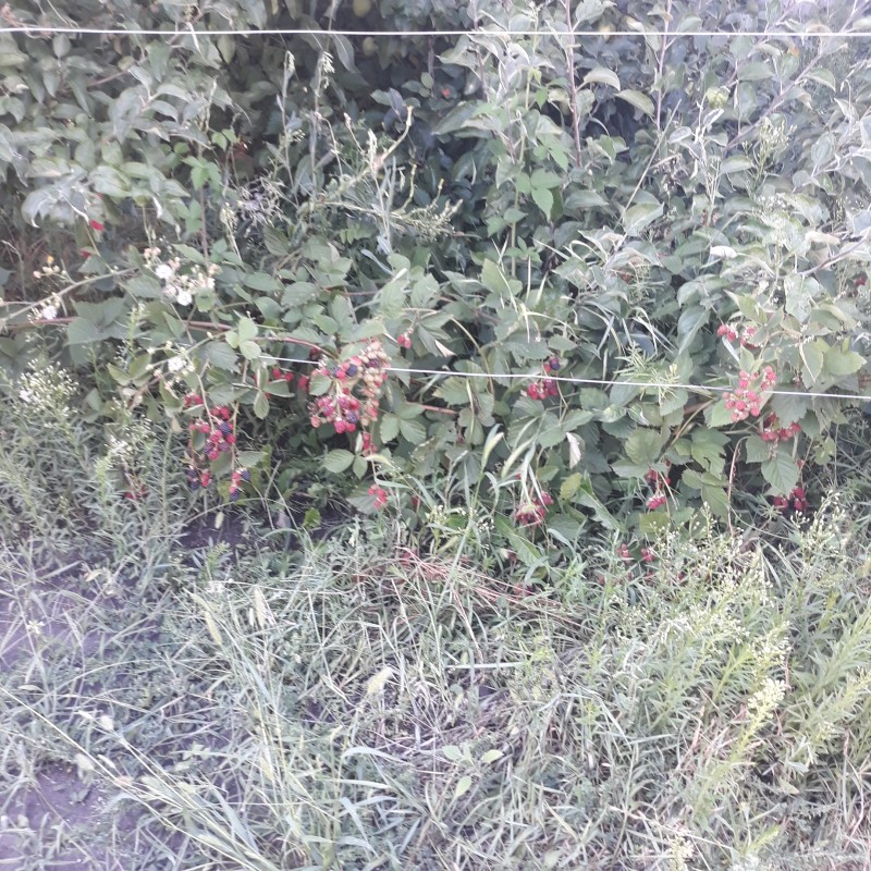 20210801_175458 БС.jpg