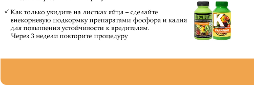 Screenshot 2024-11-15 at 13-25-17 «Полезный капустный конвейер». Лекция агронома Марии Поляковой.png