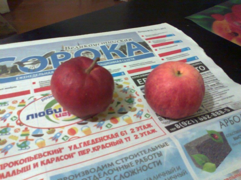 Орл_заря0736сж.jpg