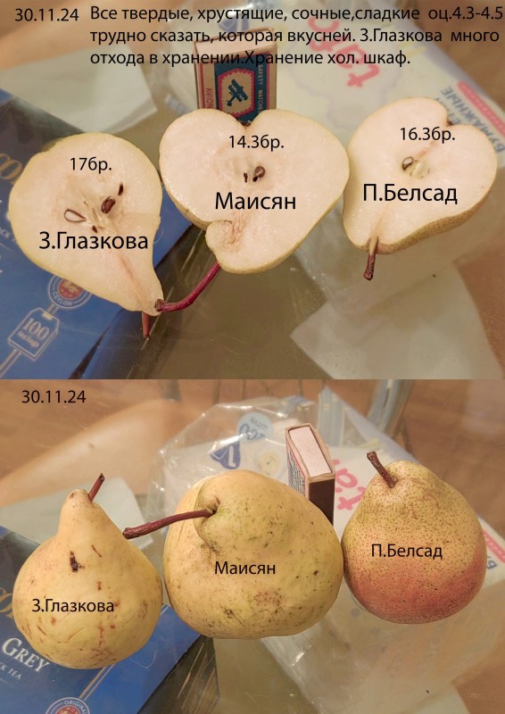 З.Глазкова, Маисян, П.Белсад.jpg