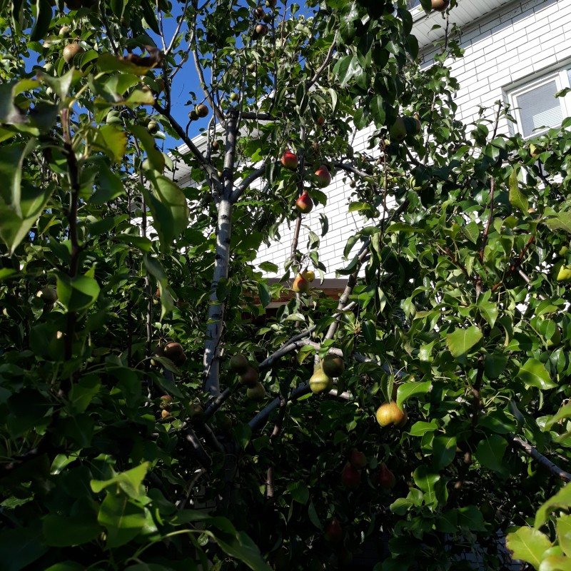 20230806_171238.jpg