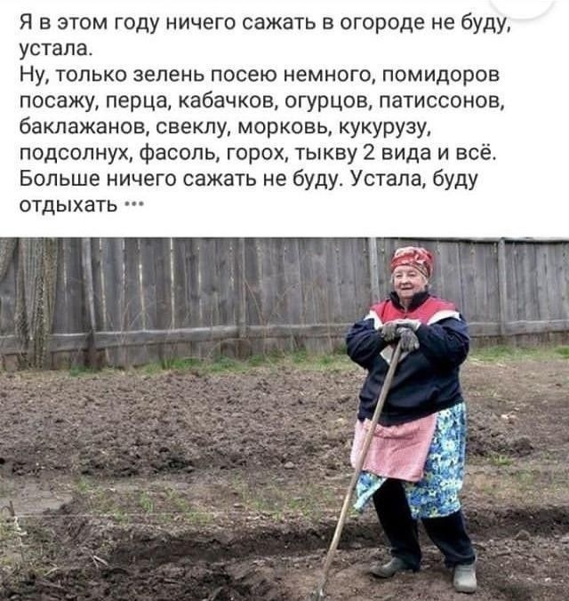 IMG-20241211-WA0004.jpg